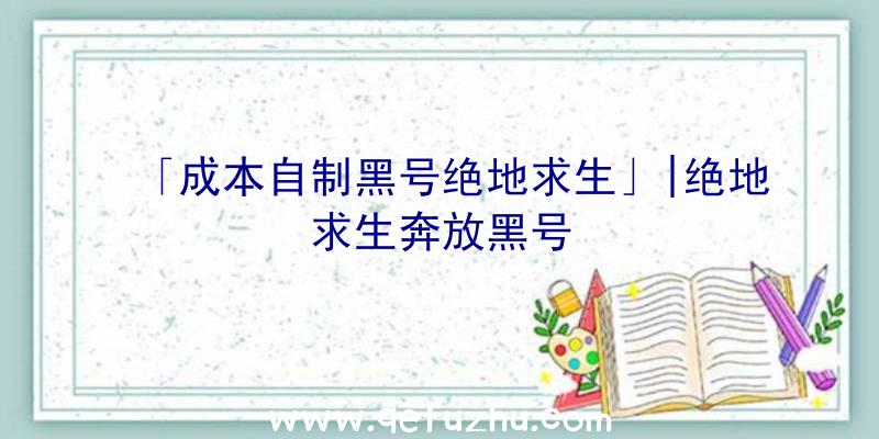 「成本自制黑号绝地求生」|绝地求生奔放黑号